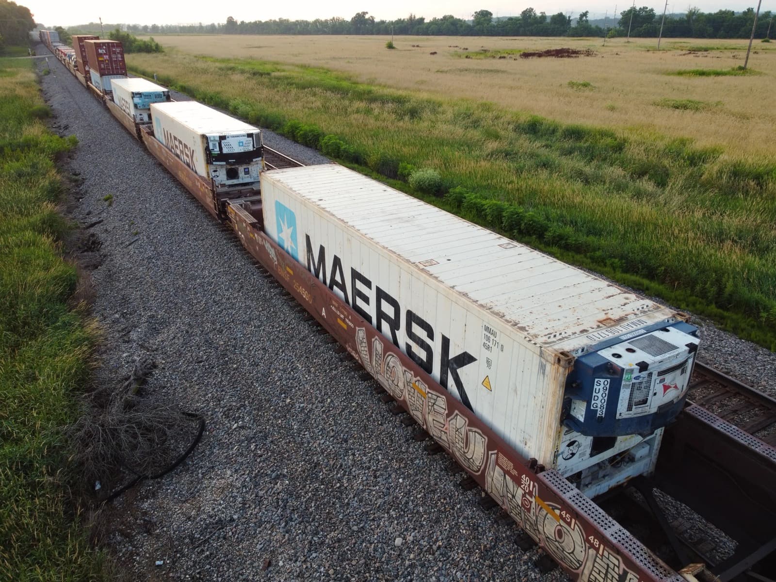 40ft Refrigerated (Reefer) Container